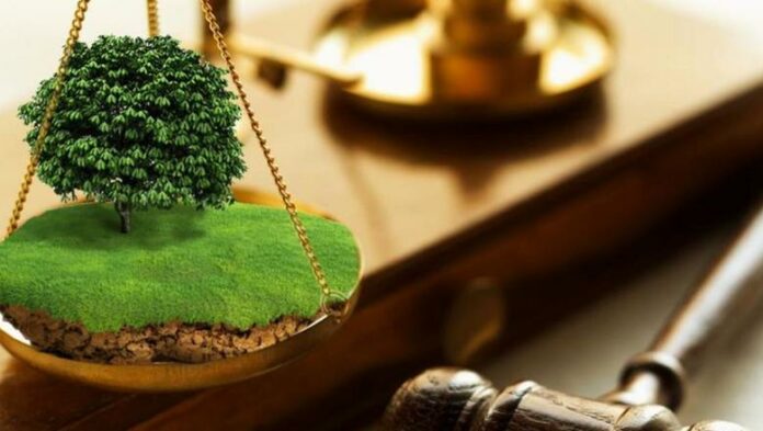На Львівщині прокуратура домоглася повернення державі майже 3 га земель вартістю понад 3 млн грн На Львівщині прокуратура домоглася повернення державі майже 3 га земель вартістю понад 3 млн грн