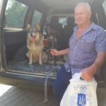 У Львові ЛКП «Лев» знайшов сім’ї для 16 тварин-безхатьків (фото) - 9