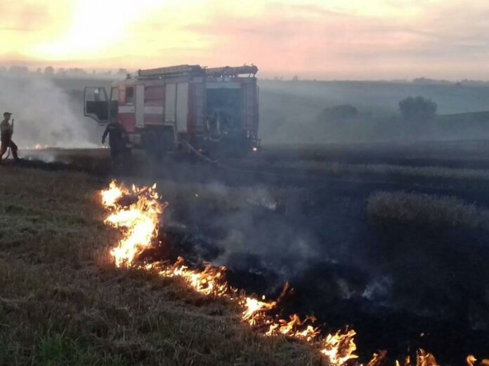 За добу на Львівщині рятувальники ліквідували дві пожежі стерні За добу на Львівщині рятувальники ліквідували дві пожежі стерні