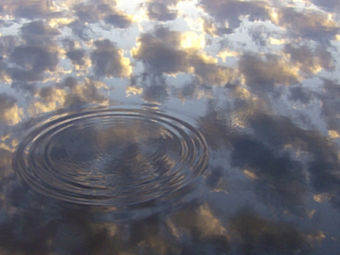 На Львівщині внаслідок ДТП загинули водій та пасажир «Ауді» На Львівщині внаслідок ДТП загинули водій та пасажир «Ауді»
