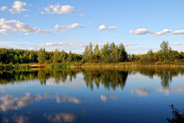 Двоє дітей з Львівщини потонули у озері Світязь