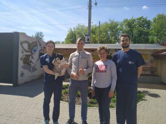 Львівські олімпійці допомагатимуть знайти дім безпритульним тваринкам Львівські олімпійці допомагатимуть знайти дім безпритульним тваринкам