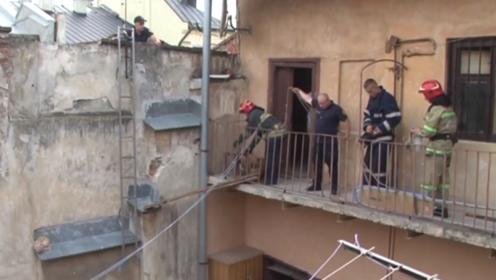 У Львові провели операцію з порятунку кота (відео) У Львові провели операцію з порятунку кота (відео)