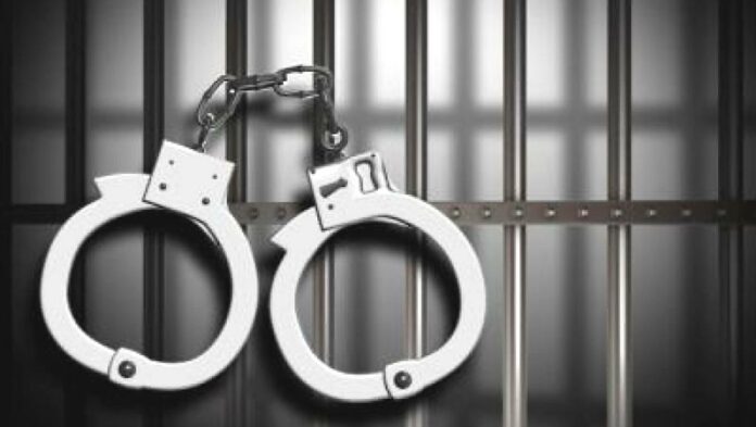 На Львівщині судитимуть браконьєрів, причетних до крадіжки деревини та незаконної порубки лісу На Львівщині судитимуть браконьєрів, причетних до крадіжки деревини та незаконної порубки лісу