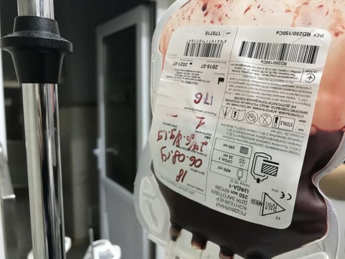 У Львові шукають донорів крові для собак У Львові шукають донорів крові для собак