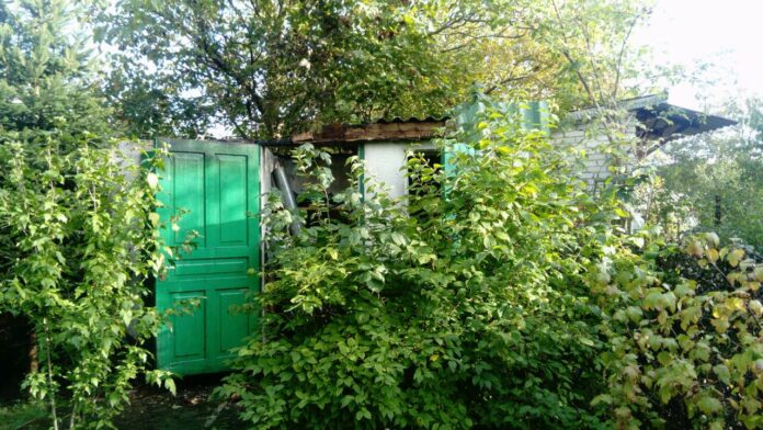 У Пустомитівському районі виникла пожежа на території садівничого товариства У Пустомитівському районі виникла пожежа на території садівничого товариства