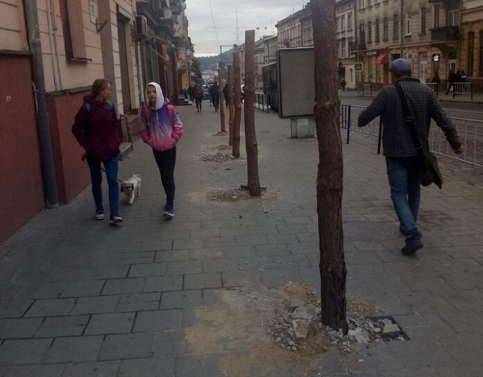 У Львові на Городоцькій посеред пішохідної частини «виросли» дерев’яні балки У Львові на Городоцькій посеред пішохідної частини «виросли» дерев’яні балки