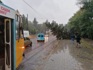 Наслідки негоди у Львові (фото) - 3