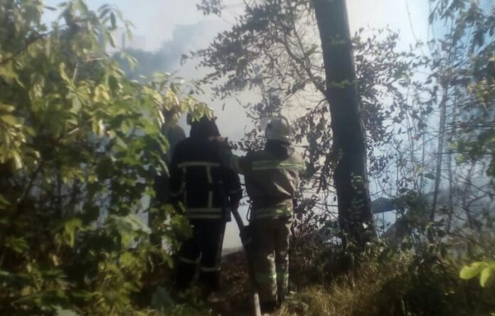 На львівській Погулянці масштабна пожежа (фото і відео) На львівській Погулянці масштабна пожежа (фото і відео)