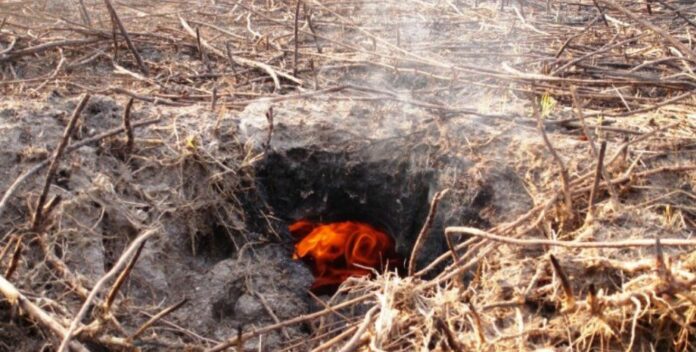 У Львові рятувальники ліквідували пожежу торфу У Львові рятувальники ліквідували пожежу торфу