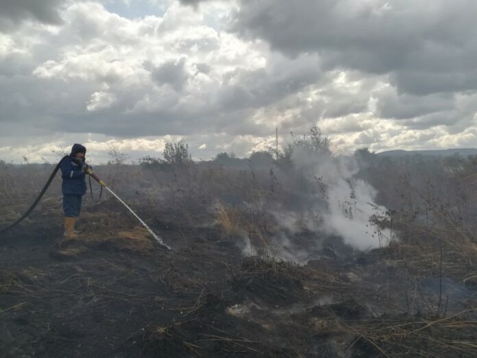 На Львівщині триває масштабна пожежа на торфовищі На Львівщині триває масштабна пожежа на торфовищі