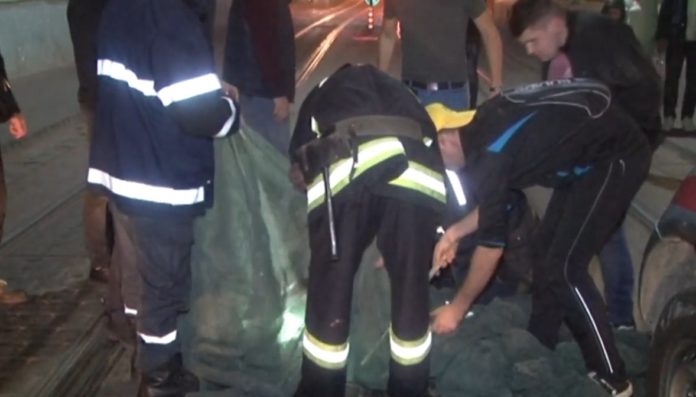 У центрі Львова відбулась спецоперація з порятунку кошеняти (відео) У центрі Львова відбулась спецоперація з порятунку кошеняти (відео)