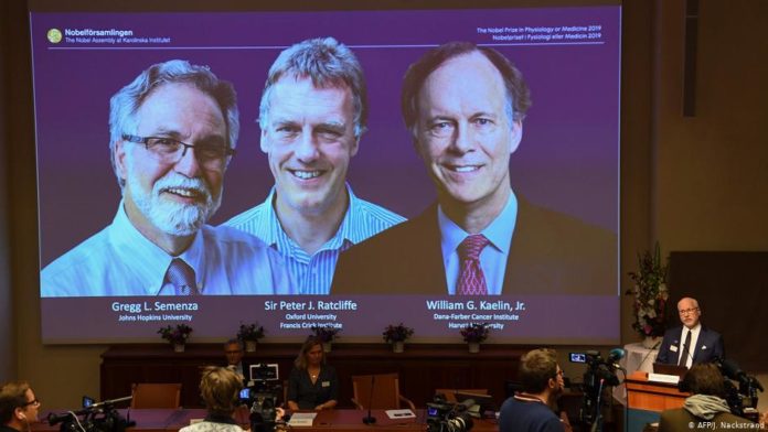 Нобелівську премію з медицини цьогоріч вручили за відкриття реакції живих клітин на кисень