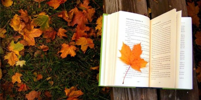 Найкращі книги для осіннього настрою Найкращі книги для осіннього настрою