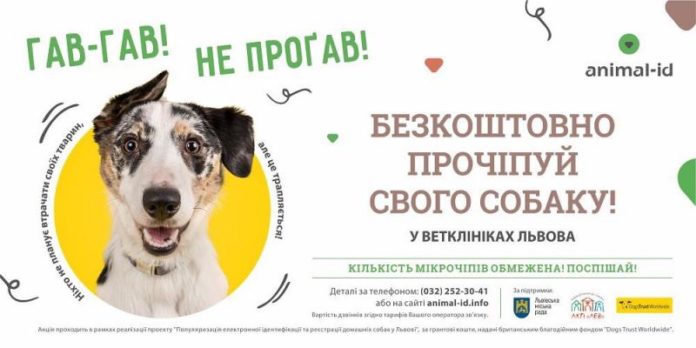 У Львові безкоштовно прочіпують 5 тисяч господарських собак У Львові безкоштовно прочіпують 5 тисяч господарських собак