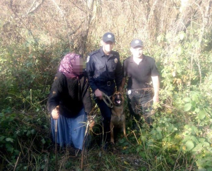На Львівщині собака-поліцейський розшукав жінку, яка заблукала в лісі На Львівщині собака-поліцейський розшукав жінку, яка заблукала в лісі