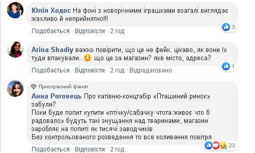 Один з найбільших ТЦ України транспортує папуг у коробках для печива (фото) - 2