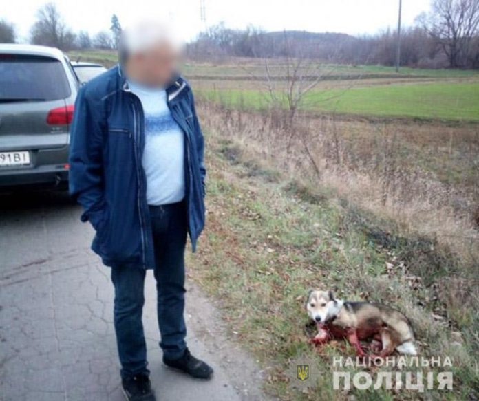 Активісти вимагають розслідувати знущання хмельницького чиновника над собакою Активісти вимагають розслідувати знущання хмельницького чиновника над собакою