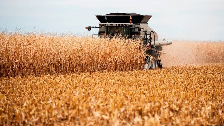 В Україні зафіксовано рекордний урожай