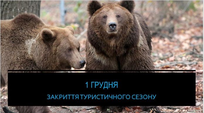 Ведмежий притулок Домажир закриває туристичний сезон Ведмежий притулок Домажир закриває туристичний сезон