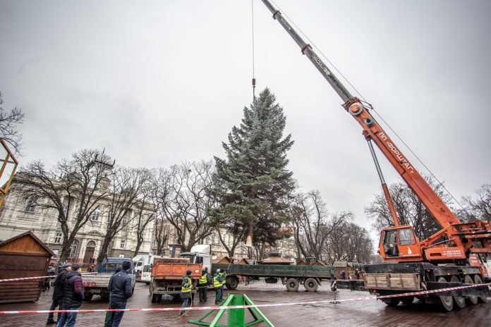 На площі перед Оперним встановили різдвяну ялинку (фото) На площі перед Оперним встановили різдвяну ялинку (фото)