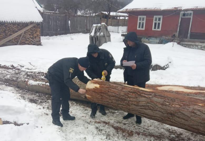 Через незаконну рубку дерев на Львівщині поліцейські відкрили кримінальне провадження Через незаконну рубку дерев на Львівщині поліцейські відкрили кримінальне провадження