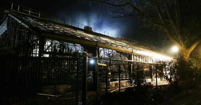 В Новорічну ніч у Німеччині згоріла буділя зоопарку разом з тваринами В Новорічну ніч у Німеччині згоріла буділя зоопарку разом з тваринами