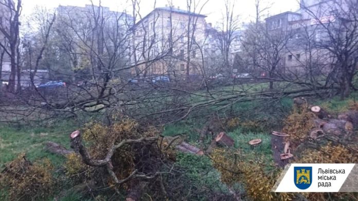 На скандальній ділянці на вулиці Горбачевського хочуть зробити сквер На скандальній ділянці на вулиці Горбачевського хочуть зробити сквер
