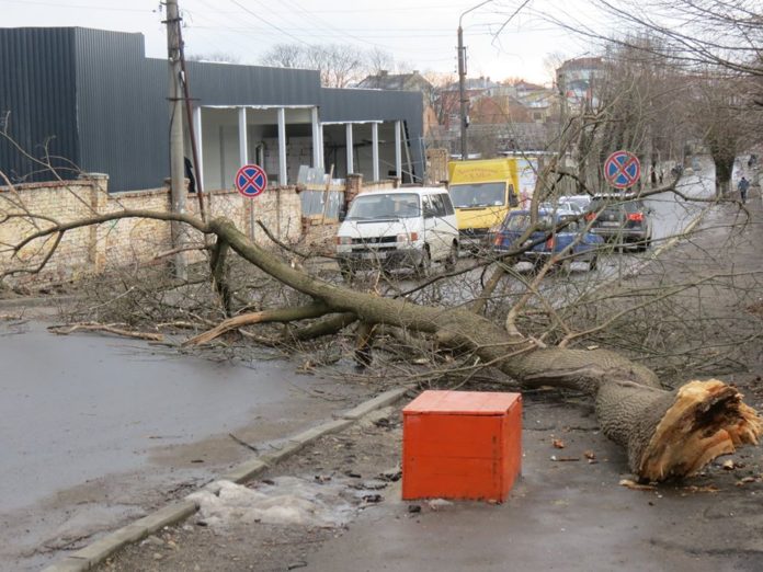 Шквальний вітер наробив лиха на Львівщині (фото) Шквальний вітер наробив лиха на Львівщині (фото)