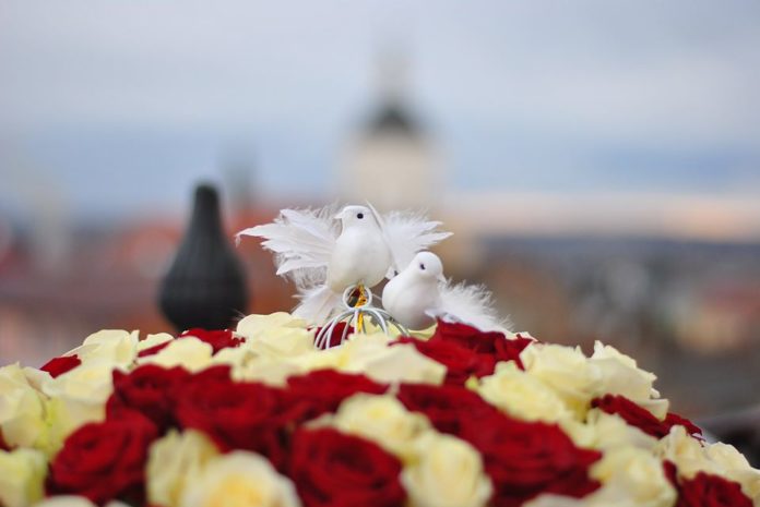 У День Валентина мешканець Самбірщини освідчився коханій на ратуші У День Валентина мешканець Самбірщини освідчився коханій на ратуші