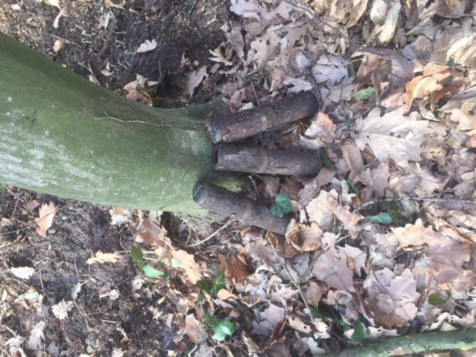 На Львівщині біля житлових будинків виявили небезпечні боєприпаси На Львівщині біля житлових будинків виявили небезпечні боєприпаси