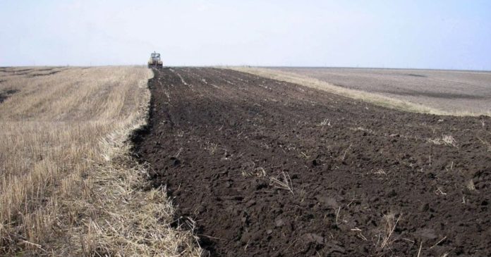 Фермер, який розорав пам’ятки археології на два мільярди, віддав 300 тисяч Фермер, який розорав пам’ятки археології на два мільярди, віддав 300 тисяч
