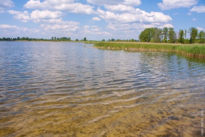 Львівська ОДА передала права оренди на три водойми Львівська ОДА передала права оренди на три водойми