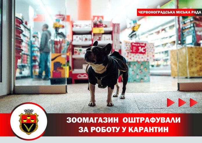 У Червонограді оштрафували зоомагазин через роботу в карантин У Червонограді оштрафували зоомагазин через роботу в карантин