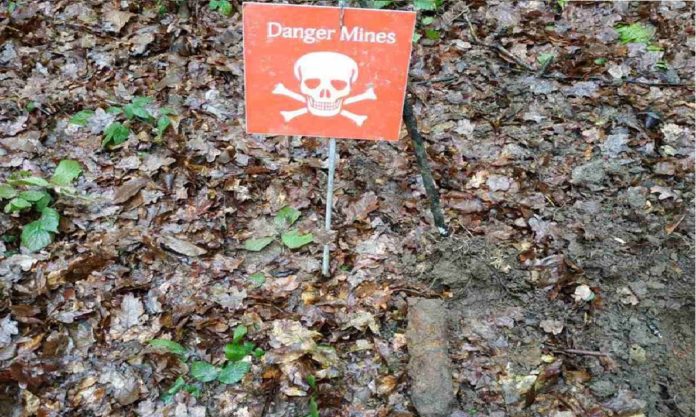 На Львівщині піротехніки знищили артснаряди ІІ Світової війни На Львівщині піротехніки знищили артснаряди ІІ Світової війни