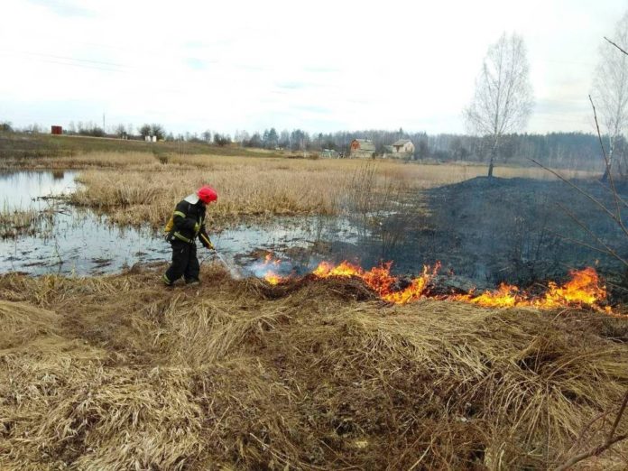На Львівщині під час спалювання сухостою загинула жінка На Львівщині під час спалювання сухостою загинула жінка