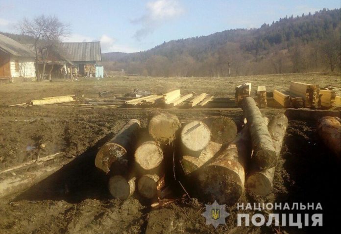 На Старосамбірщині, на приватній пилорамі, поліцейські знайшли незаконно зрубану деревину На Старосамбірщині, на приватній пилорамі, поліцейські знайшли незаконно зрубану деревину