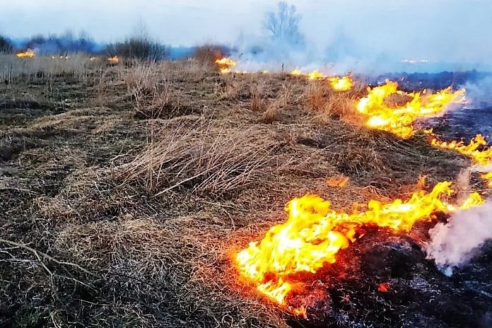 Палити чи не палити: навіщо суху траву знищують вогнем і чому це небезпечно Палити чи не палити: навіщо суху траву знищують вогнем і чому це небезпечно