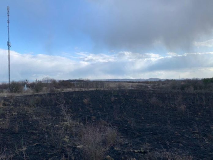 Львів’ян просять не спалювати суху рослинність Львів’ян просять не спалювати суху рослинність