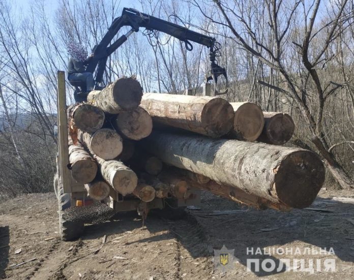 На Львівщині виявили немарковану деревину На Львівщині виявили немарковану деревину