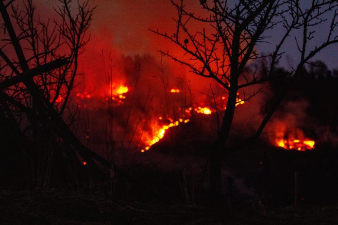 На Львівщині встановили підпалювача трави, який спричинив масштабну пожежу На Львівщині встановили підпалювача трави, який спричинив масштабну пожежу