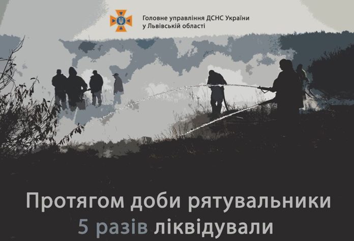 Рятувальники Львівщини 5 разів ліквідували займання сухостою Рятувальники Львівщини 5 разів ліквідували займання сухостою
