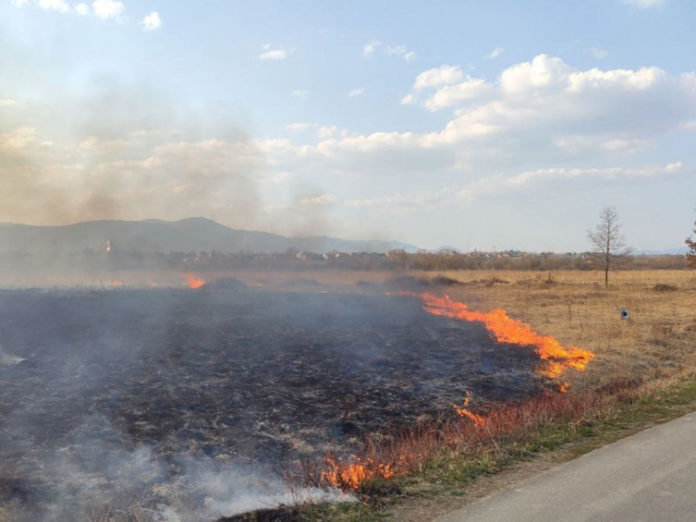 На Закарпатті чоловік спалив 9 гектарів заповідника «Долина нарцисів» На Закарпатті чоловік спалив 9 гектарів заповідника «Долина нарцисів»