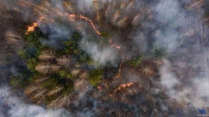 У Чорнобилі згоріли 30% туристичних об’єктів У Чорнобилі згоріли 30% туристичних об’єктів