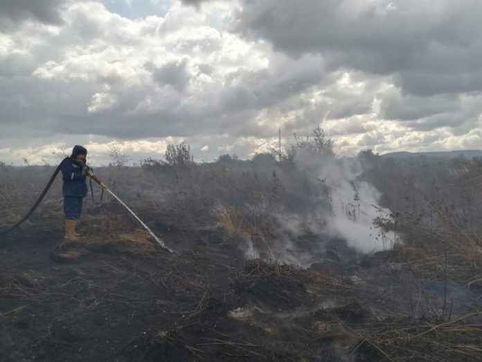 На Львівщині вогнеборці два дні гасили торф’яну пожежу На Львівщині вогнеборці два дні гасили торф’яну пожежу