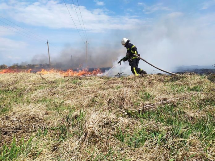 На Львівщині вогонь знищив понад 2 га сухої трави На Львівщині вогонь знищив понад 2 га сухої трави
