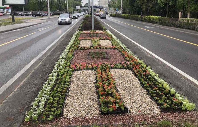На Чорновола висадили 6 тисяч саджанців квітів На Чорновола висадили 6 тисяч саджанців квітів