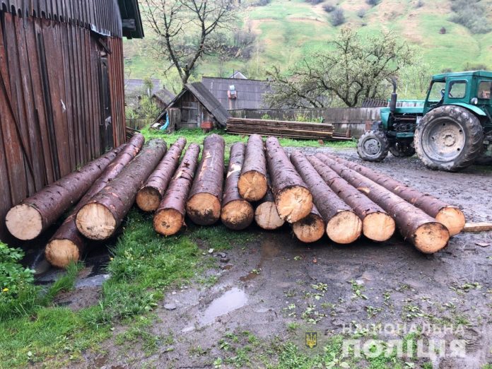 На Львівщині викрили чоловіка, що незаконно вирубував дерева На Львівщині викрили чоловіка, що незаконно вирубував дерева