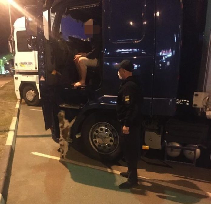 На Львівщині водій вантажівки хотів перевезти через кордон марихуану На Львівщині водій вантажівки хотів перевезти через кордон марихуану