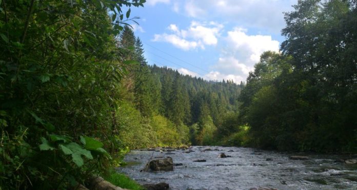 У Міністерстві охорони здоров’я розповіли, як українці відпочиватимуть влітку У Міністерстві охорони здоров’я розповіли, як українці відпочиватимуть влітку